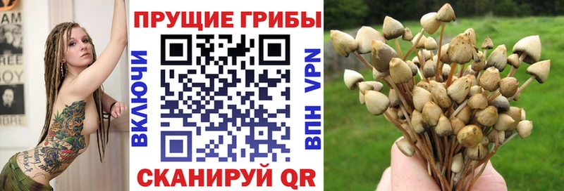 Галлюциногенные грибы Magic Shrooms  наркошоп  Белгород 