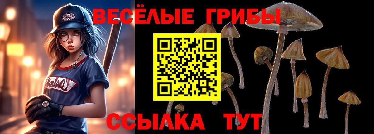 Галлюциногенные грибы Psilocybine cubensis  Белгород  Псилоцибиновые грибы Magic Shrooms 