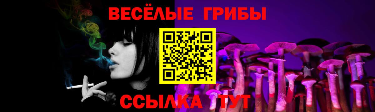 Галлюциногенные грибы мухоморы Белгород
